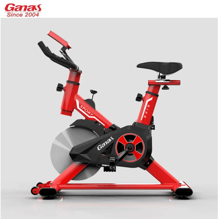 Ganas Factory Wholesale Lightweight Flywheel Gym Exercise Spin Bike for Sale