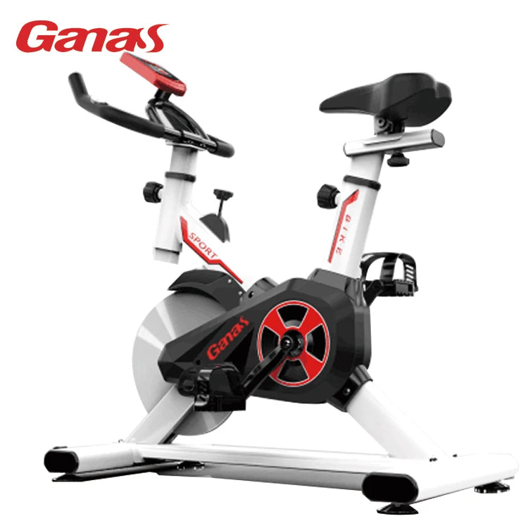 Ganas Factory Wholesale Lightweight Flywheel Gym Exercise Spin Bike for Sale